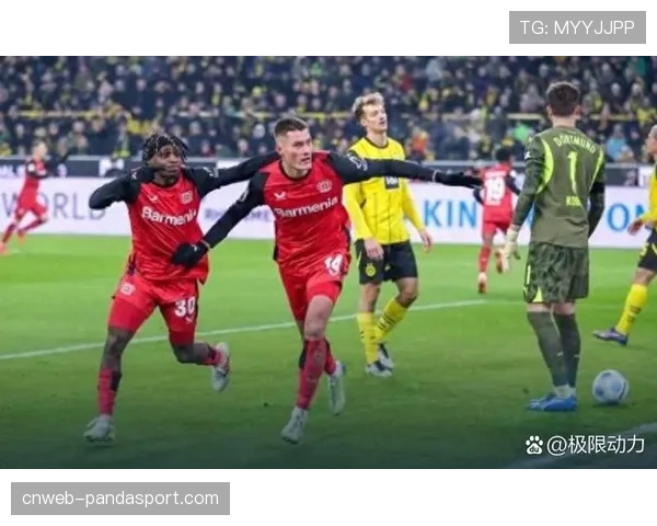 勒沃库森赛前开放训练吸引大批球迷热情观赛