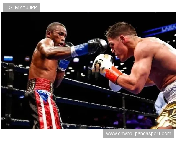 布拉德利指出亚德防守漏洞，或成本纳维德兹突破口