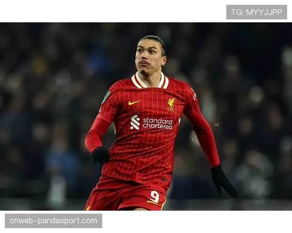 伊萨克破门释压，利物浦新援融入体系