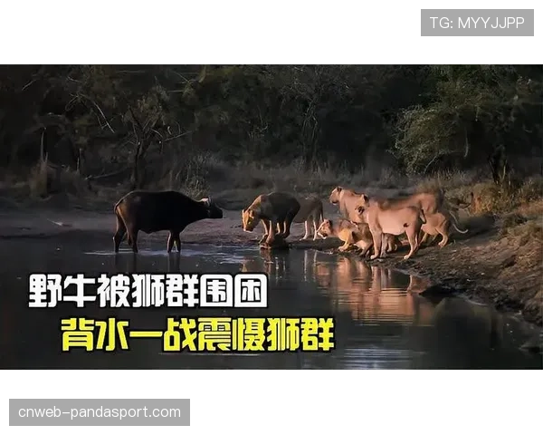 养乐多燕子迎战欧力士野牛，田口丽斗救援表现或成比赛转折点